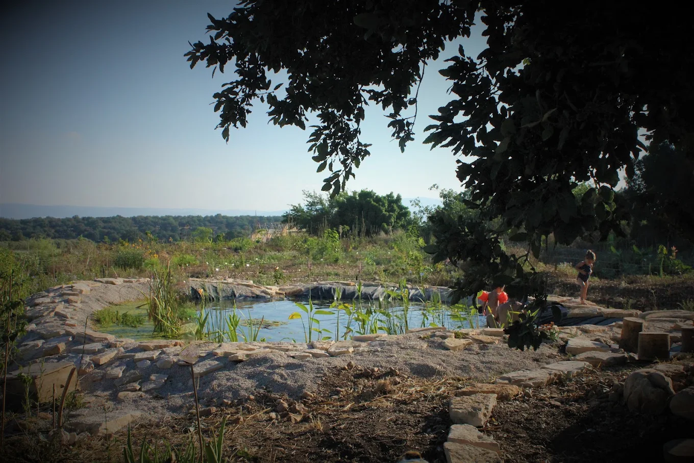 בריכת רחצה טבעית שוליה מוקפים אבנים שטוחות וקנה, מאחוריה גבעות ירוקות ושמיים, וענפי עץ מצלילים בחזית
